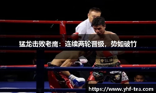 乐鱼电竞官网