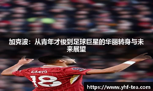 加克波：从青年才俊到足球巨星的华丽转身与未来展望
