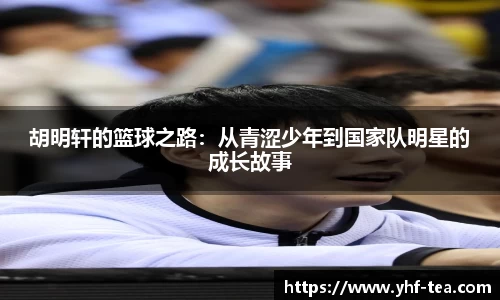 乐鱼电竞官方网站