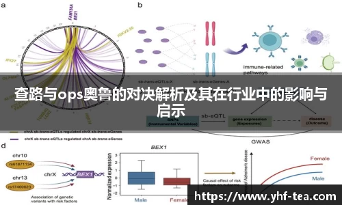 查路与ops奥鲁的对决解析及其在行业中的影响与启示