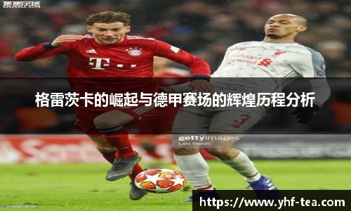 乐鱼电竞官方网站