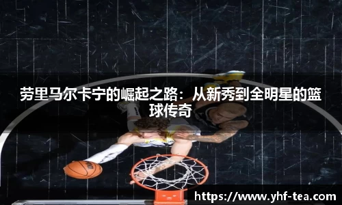 乐鱼电竞平台